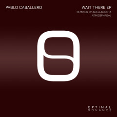 Pablo Caballero - Wait There (Atmosphreal Remix)