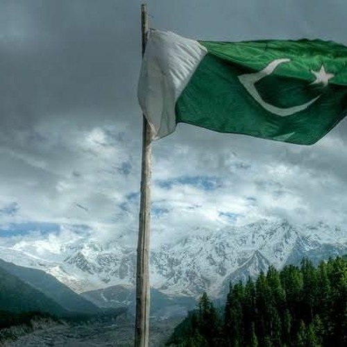 Ағасы мен әпкесінің порно видеосы