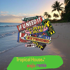 sammy viriji-If U Need It [wajix remix]