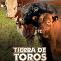 Ignacio Pereira - Remate Tierra de Toros