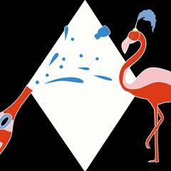Flamingos Eve 31.12.2020 mit Johannes Albert