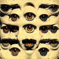 Eyes into parallel existences, blink open and shut_03