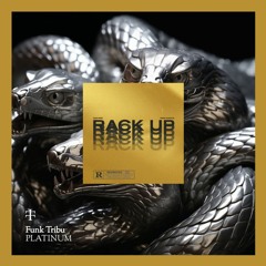 Platinum x Rack up - Sutu Bueno (Mashup)