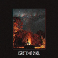 ROBB HOLLS - Esprit Emotionnel