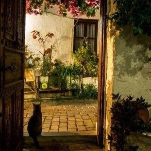 A Clarification - Slowed | Muhammad Al Muqit