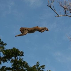 buruburu