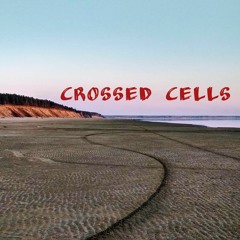 Crossed Cells