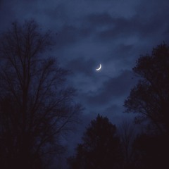 for you.