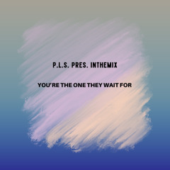 P.L.F. pres. InTheMix - You’re the One They Wait For
