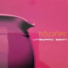 Vineyard Bern - Du Hesch Verheisse