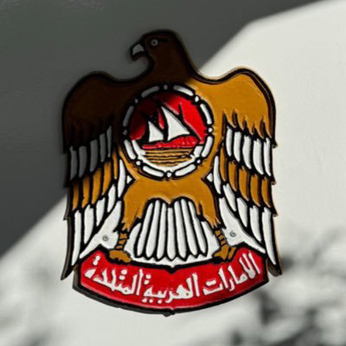 ‎⁨مكرمة السوان ، عيضه المنهالي