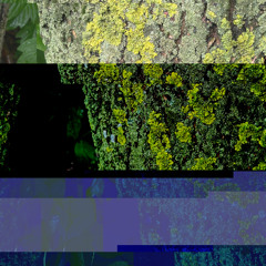 bipolarique