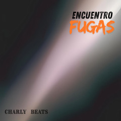 ENCUENTRO FUGAS