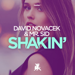 David Novacek & Mr. SID - Shakin'