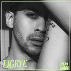 Papi Juice Mix: Ligrye