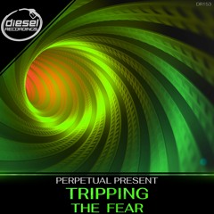 DR153 Perpetual Present - Tripping (Original Mix)