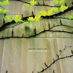 Stream Depths by Windy & Carl | Listen online for free on