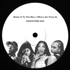 Shake It To The Max x Where The Party At (SHISHITORA Edit) FILTERD