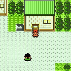 New Sunflower Town