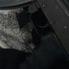 pape work ft trnkjay