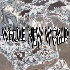 WHOLE NEW WORLD