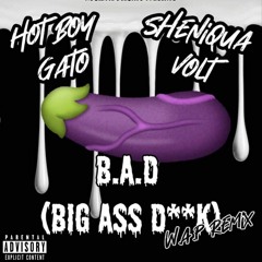 B.A.D (Big Ass Dick) Cardi B WAP Remix Feat. Sheniqua Volt