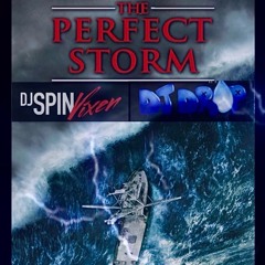 THE PERFECT STORM w/DJ SPIN VIXEN