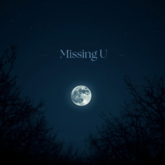 Missing U