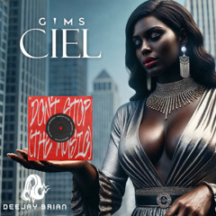 DV&LM x Gims - Don't stop x Ciel (Deejay Brian Mashup) NO PITCH FREE DOWNLOAD