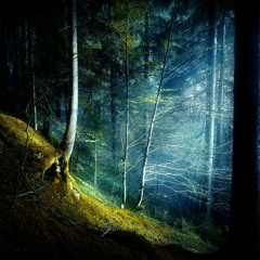 In Sleepless Nights (nocturnal improvisation snippets)
