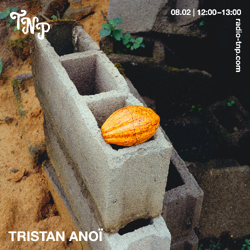 Tristan Anoï