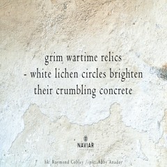 halF relicS [naviarhaiku414]