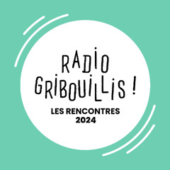 Radio Gribouillis 2024 Rencontre Matthias Lehmann et Thierry Van Hasselt - Prix L'Humanité