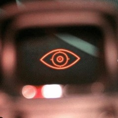 FLY TRAP (p. stckbg)