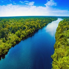 Amazonia