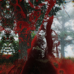 flayed