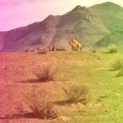 Gold & Silva - Down in the Magnetic Sands