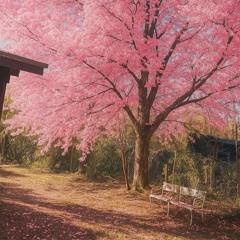 Chinese Garments prod.gh0ulito