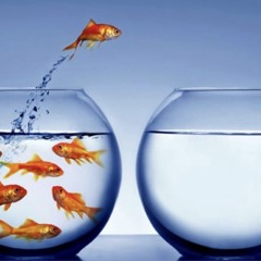 #Nun Like You Niggas (d1sgrace)