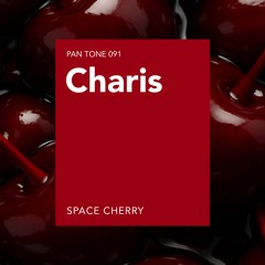 PAN TONE 091 | by CHARIS