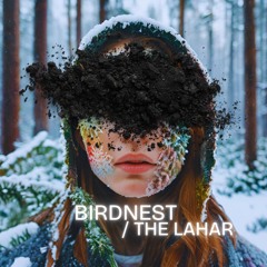 BIRDNEST #153