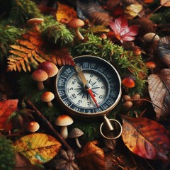 I've lost my compass. Long time ago.