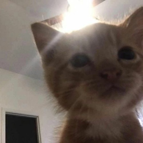 Училка - курящих нет