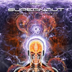 Va-Supernaut / Compiled by Damzah / Samples