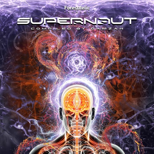 Va-Supernaut / Compiled by Damzah / Samples
