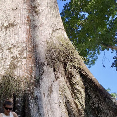 Luke Mele w/ Ramzilla 191125