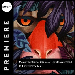 PREMIERE : Darksidevinyl - Monkey Ice Cream (Original Mix) [Connected]