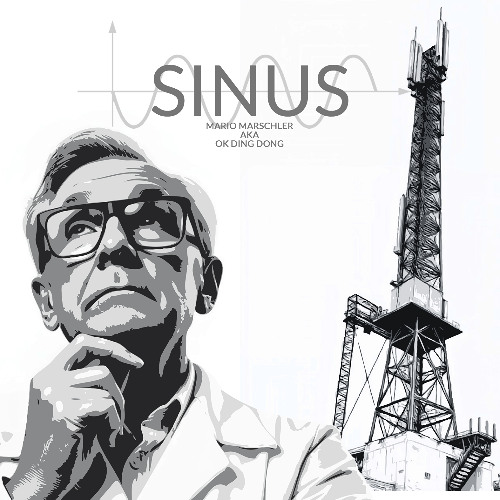 sinus