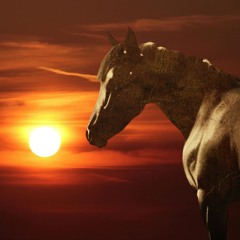 The Horse Song