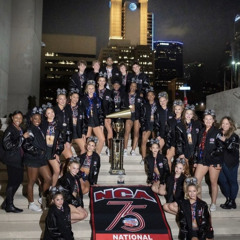 Brandon Allstars Senior Black 2022-23